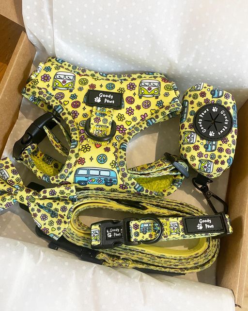 A Lead Is An Essential Accessory For Your Canine Friend