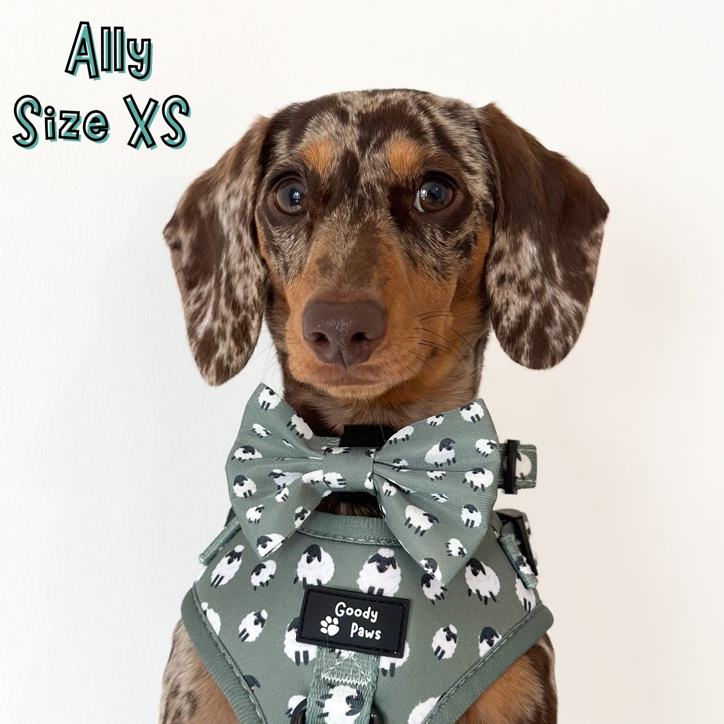 Green Sheep Adjustable Dog Harness