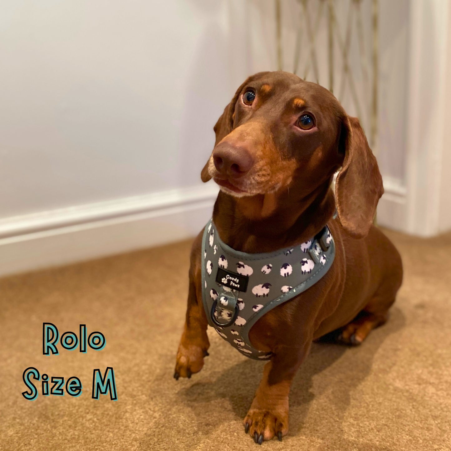 Green Sheep Adjustable Dog Harness