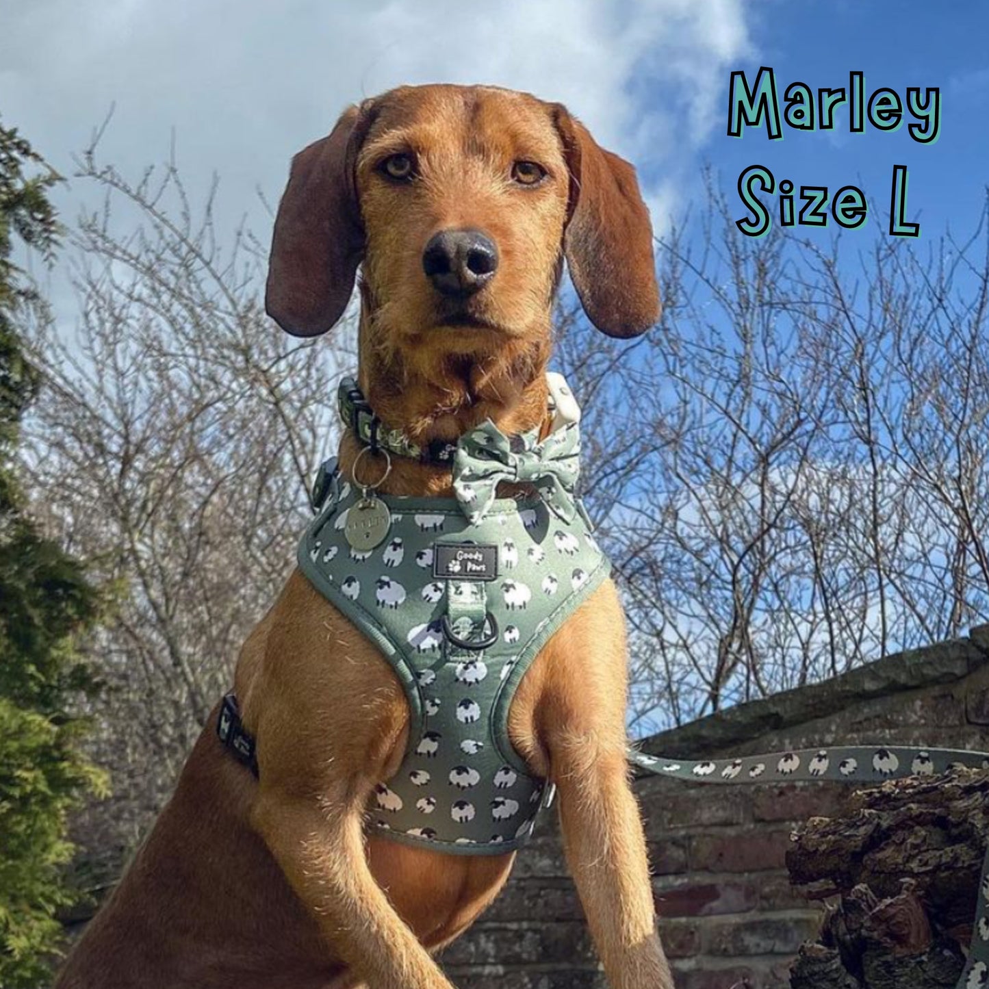 Green Sheep Adjustable Dog Harness