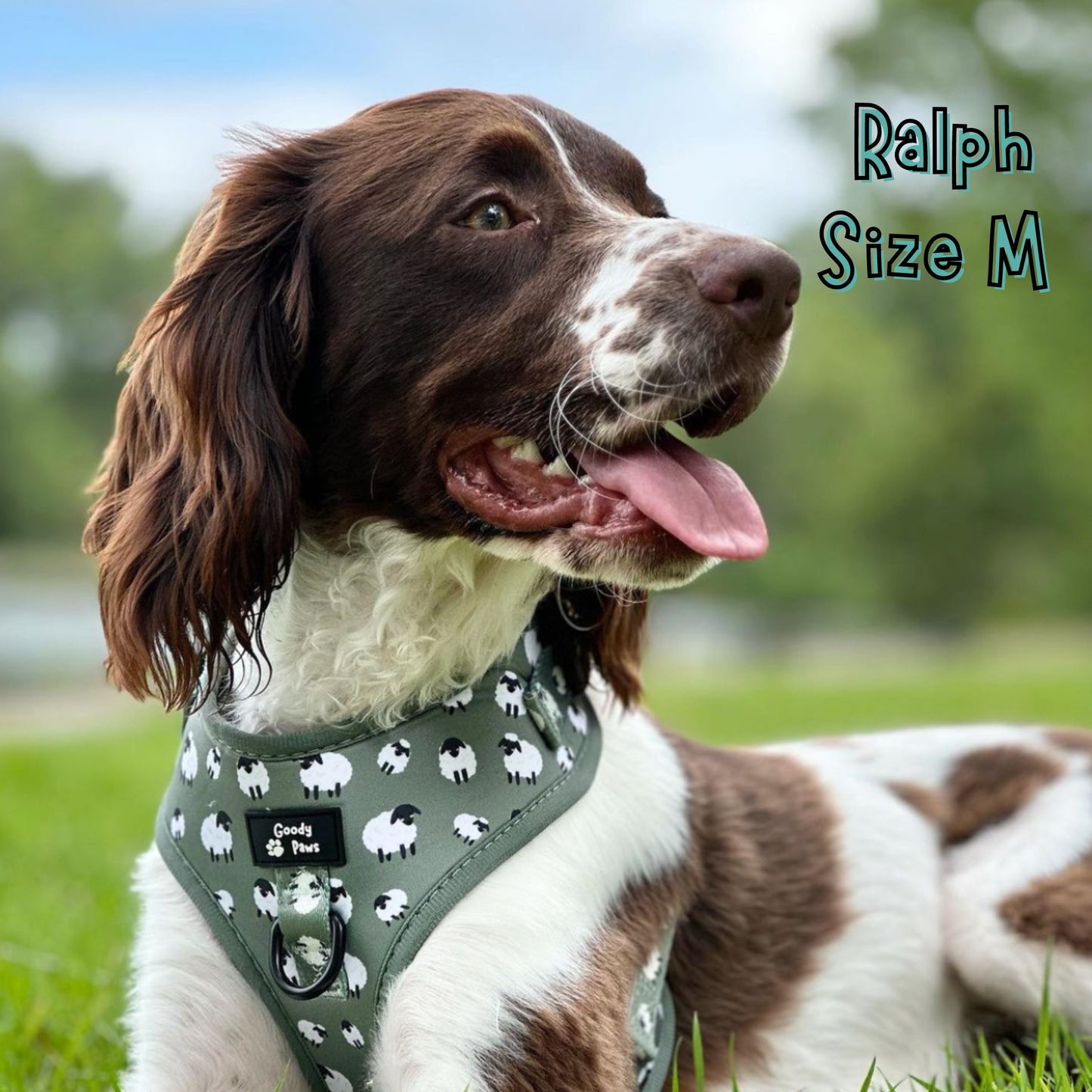 Green Sheep Adjustable Dog Harness