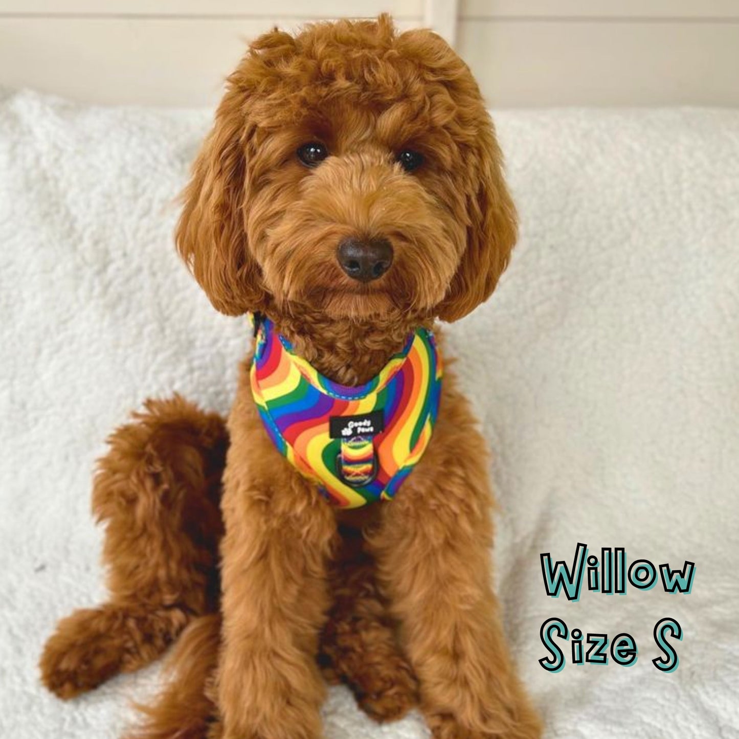 Pride Adjustable Dog Collar