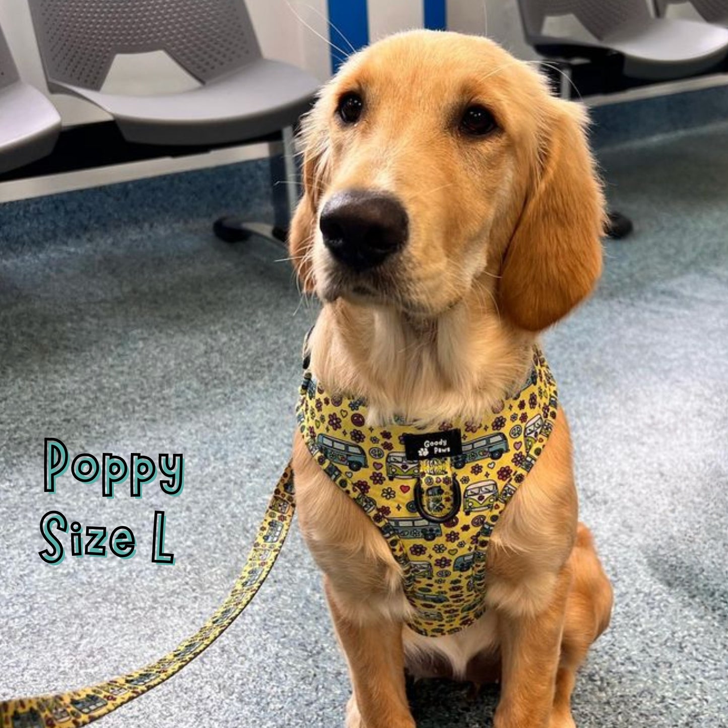 Happy Camper Van Adjustable Harness