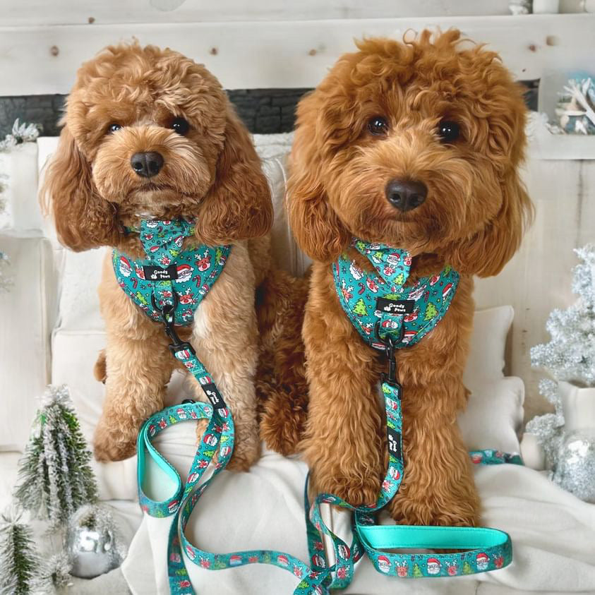 Santa Paws Adjustable Dog Harness