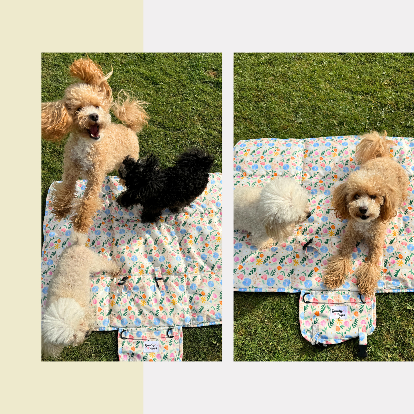 🌼 Blooming Blossom Travel Mat – Comfort for Pets, Style for You