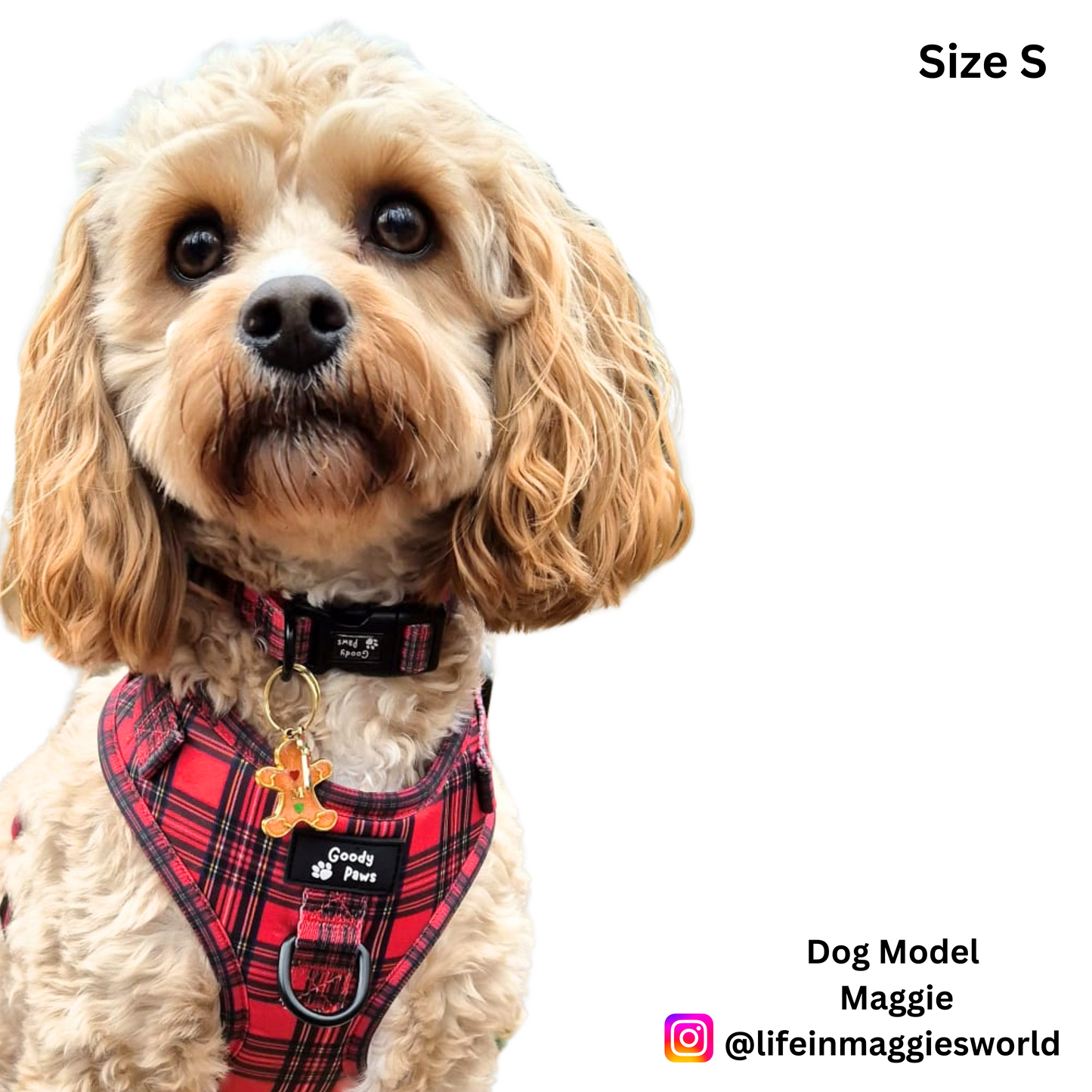 Stewart Adjustable Harness