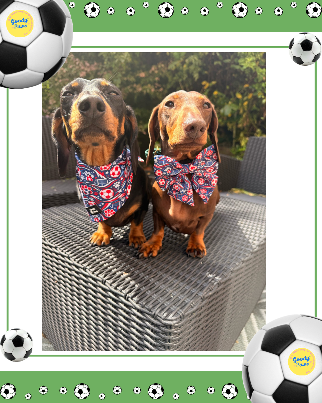 Footie Paws Sailor Bow