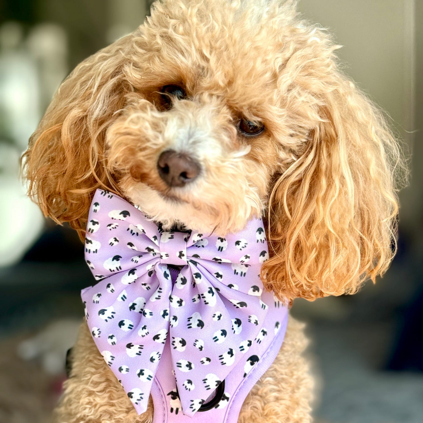 Lilac Sheep Sailor Bow