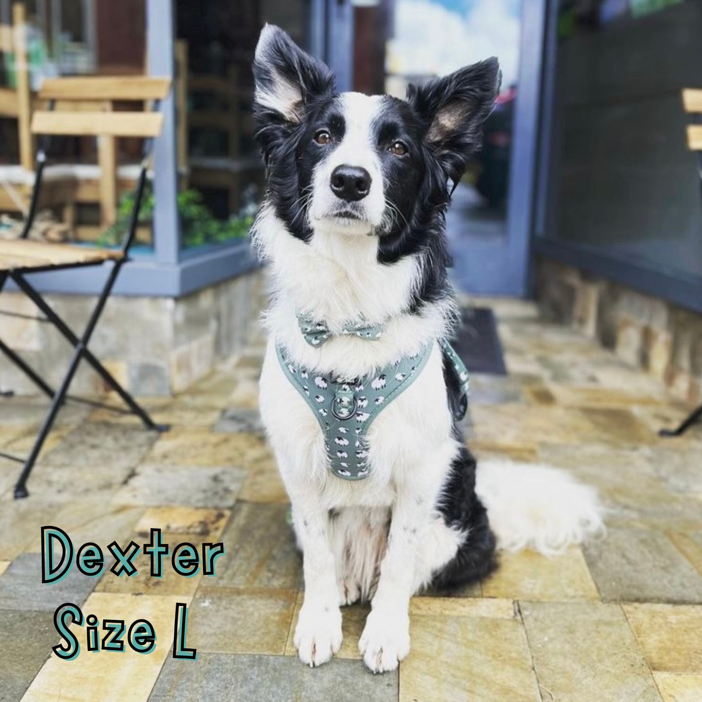 Green Sheep Adjustable Dog Harness