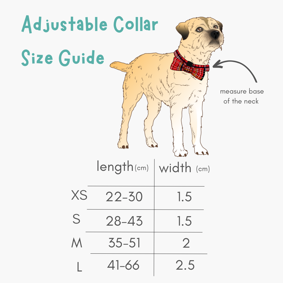 Footie Paws Dog Collar