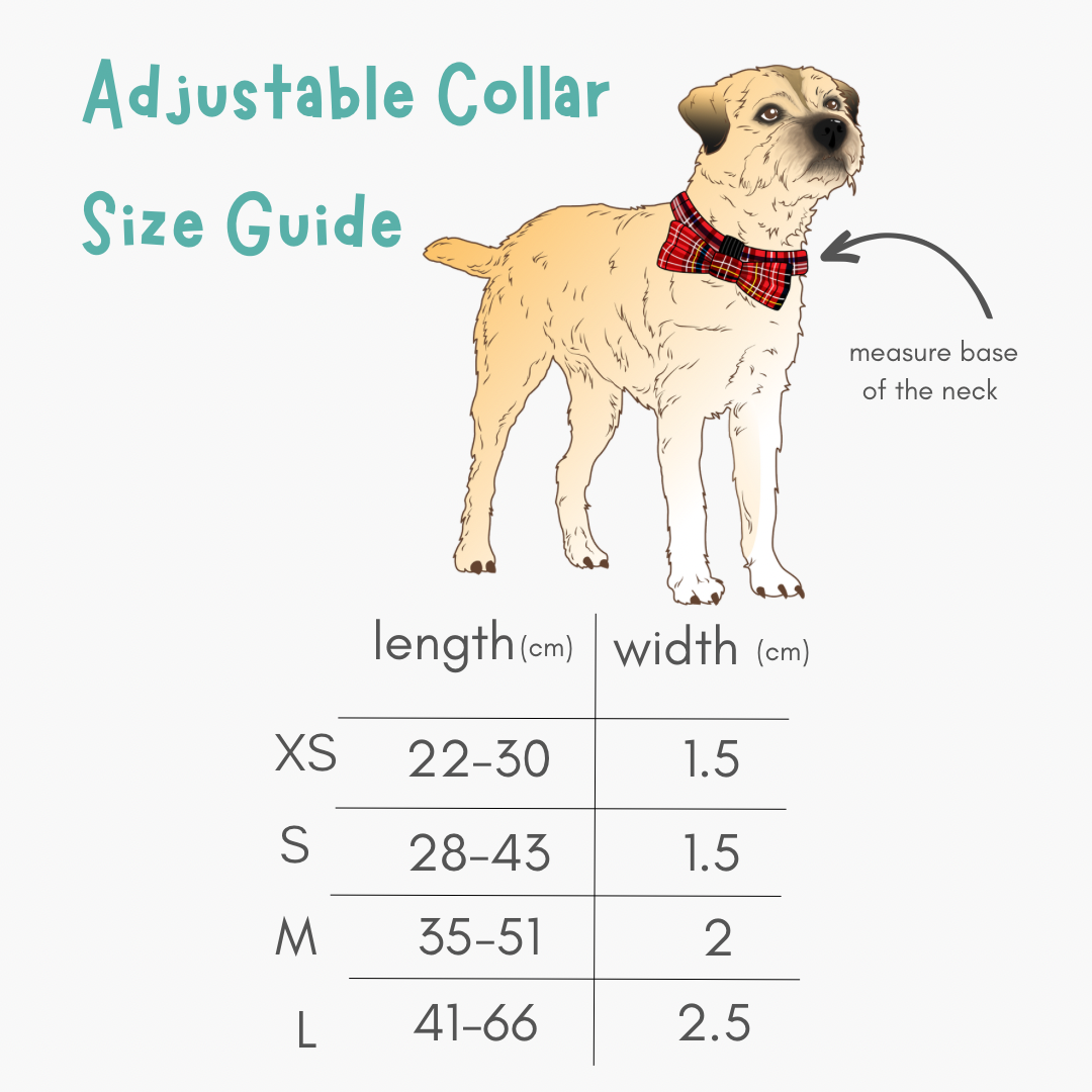 Check Me Out Adjustable Dog Collar