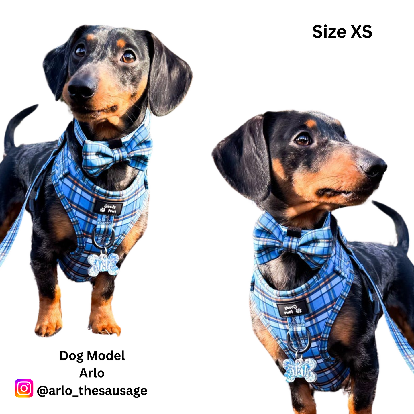 Henry Adjustable Harness