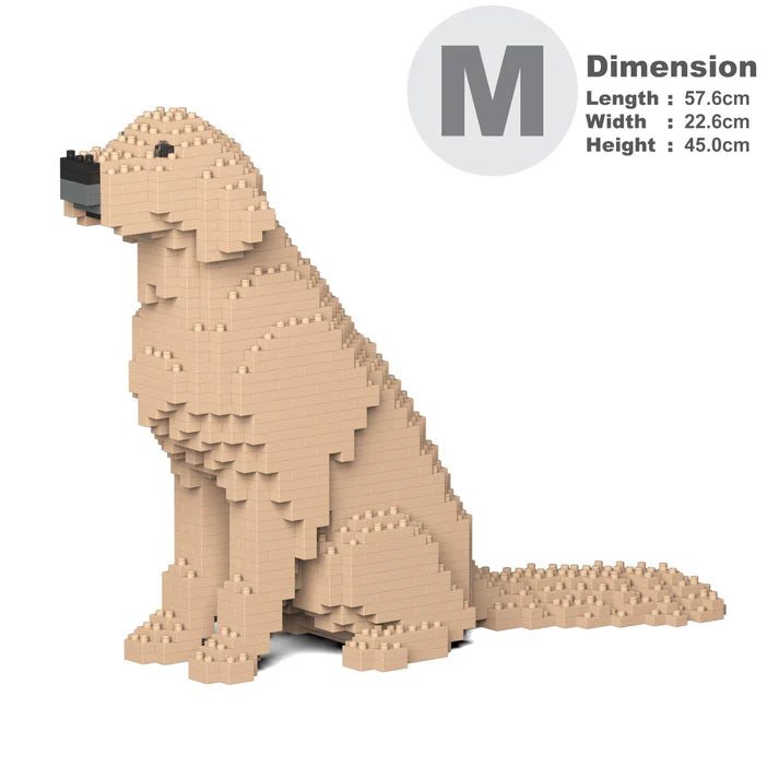 Golden Retreiver 03-M03