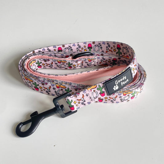 This Ain't Texas Dog Lead