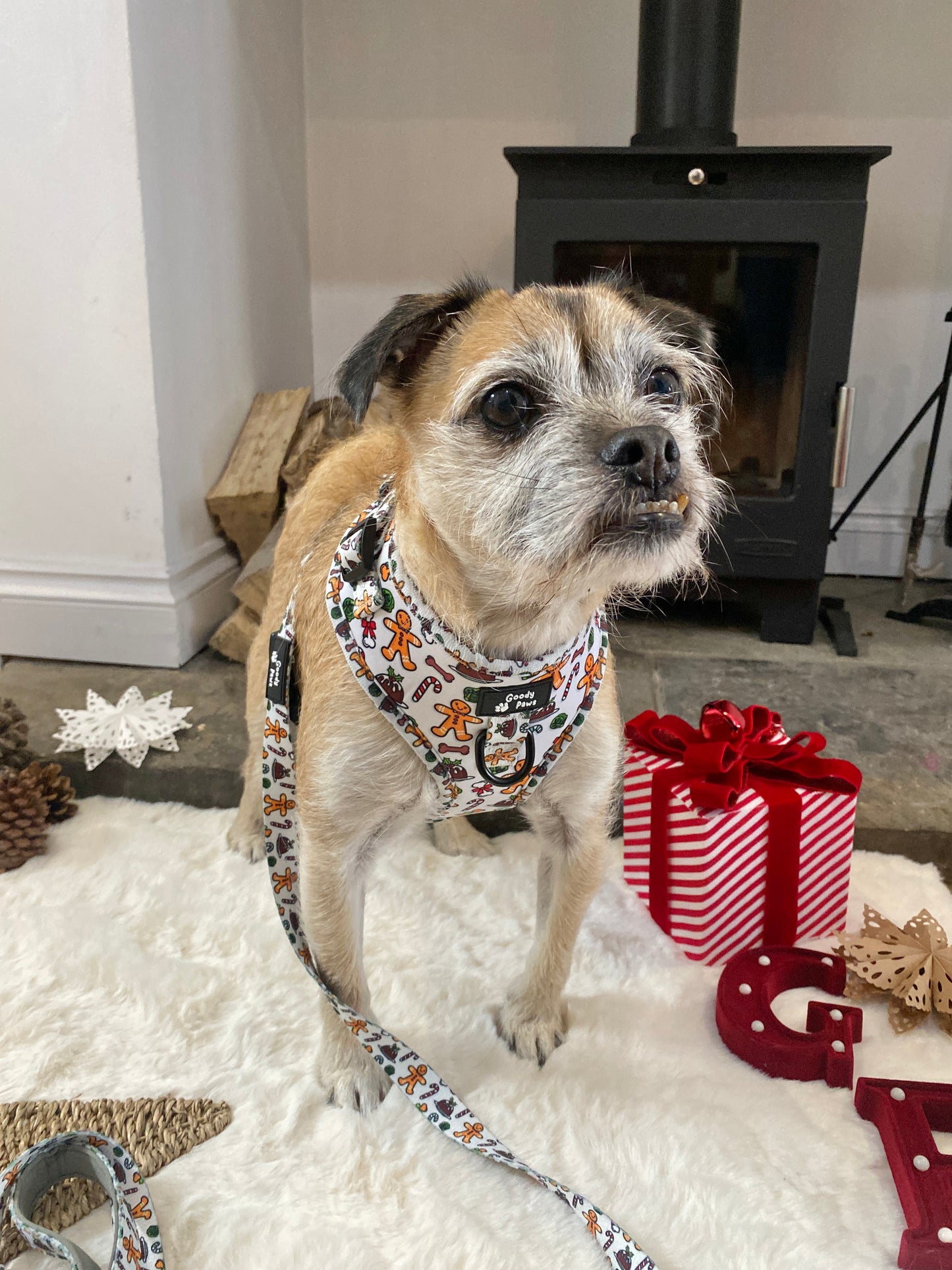 Dogs Dinner Adjustable Dog Harness