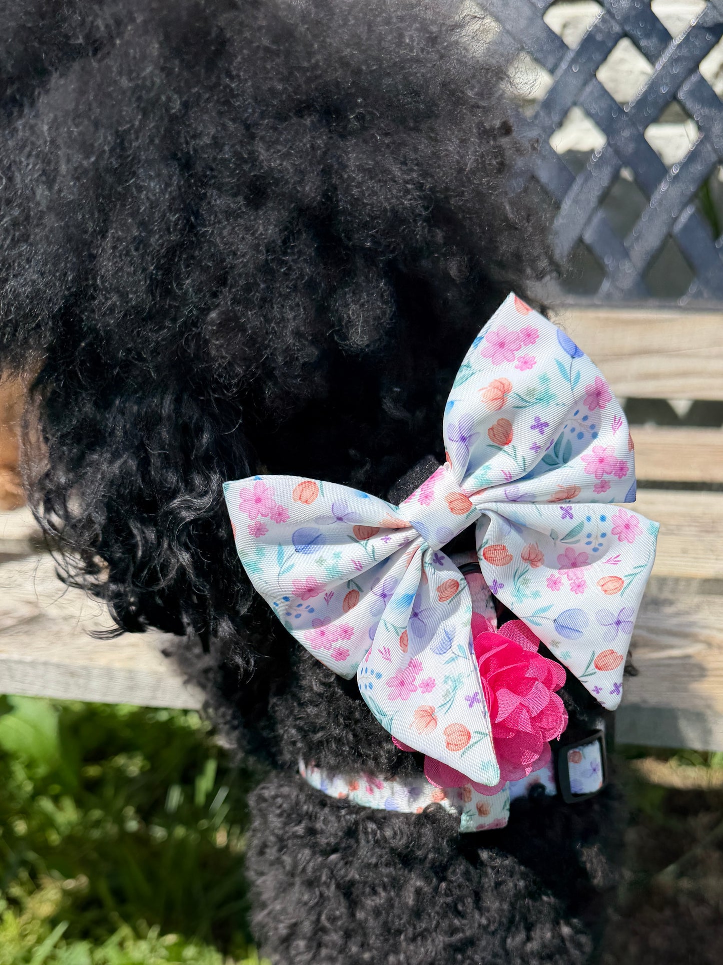 🌸 PETAL PAWS SAILOR BOW