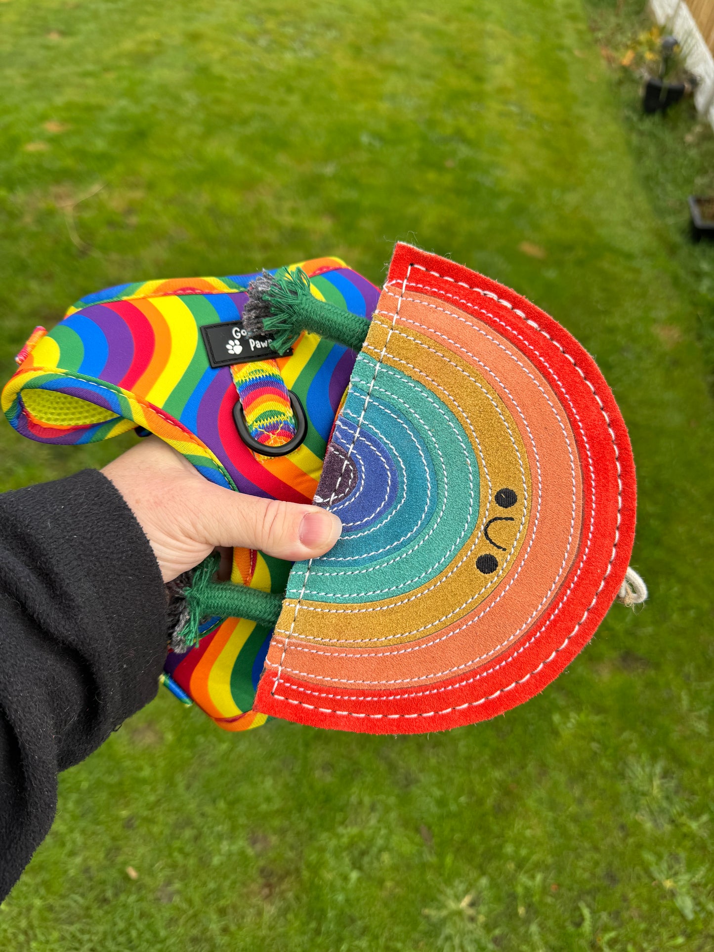 Rainbow, Eco Dog Toy