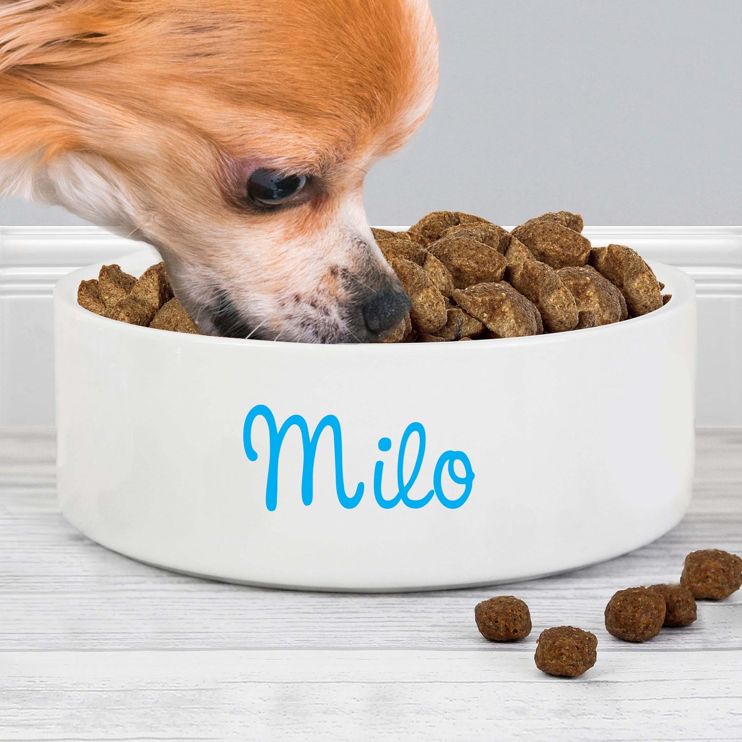 Personalised Blue Pet Bowl