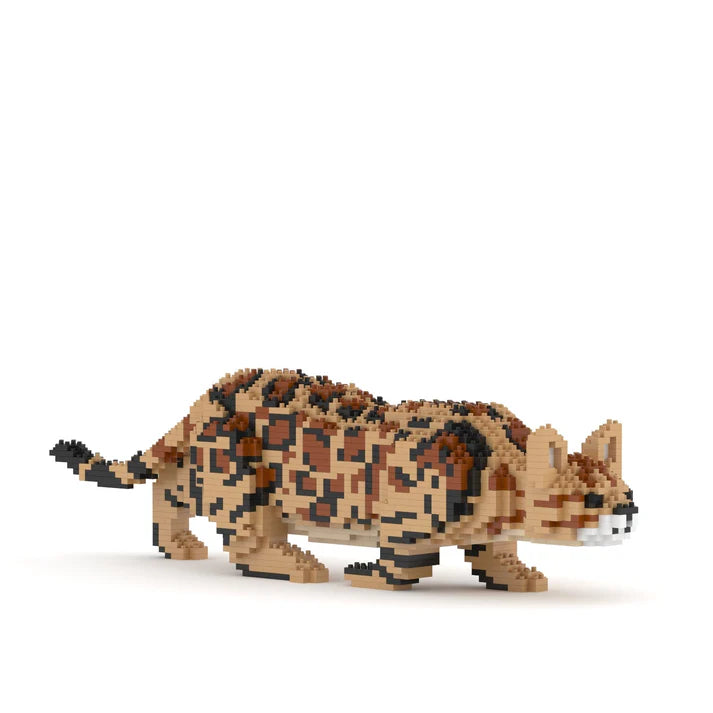 Bengal Cat 4-in-1 Pack