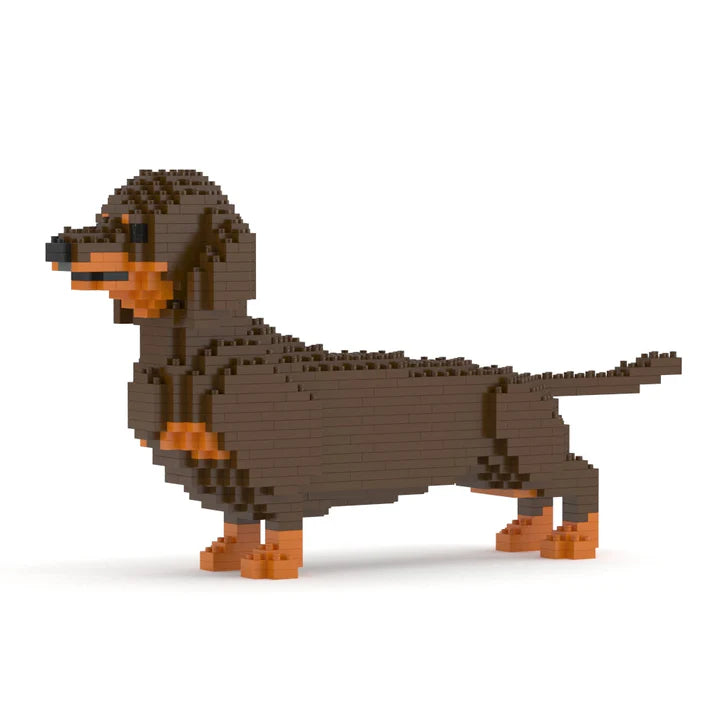 Dachshund