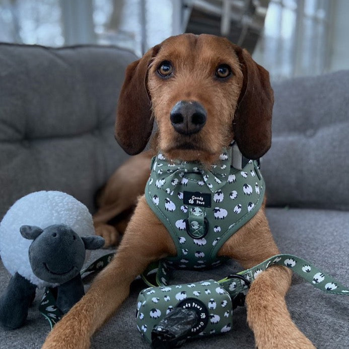 Green Sheep Dog Lead