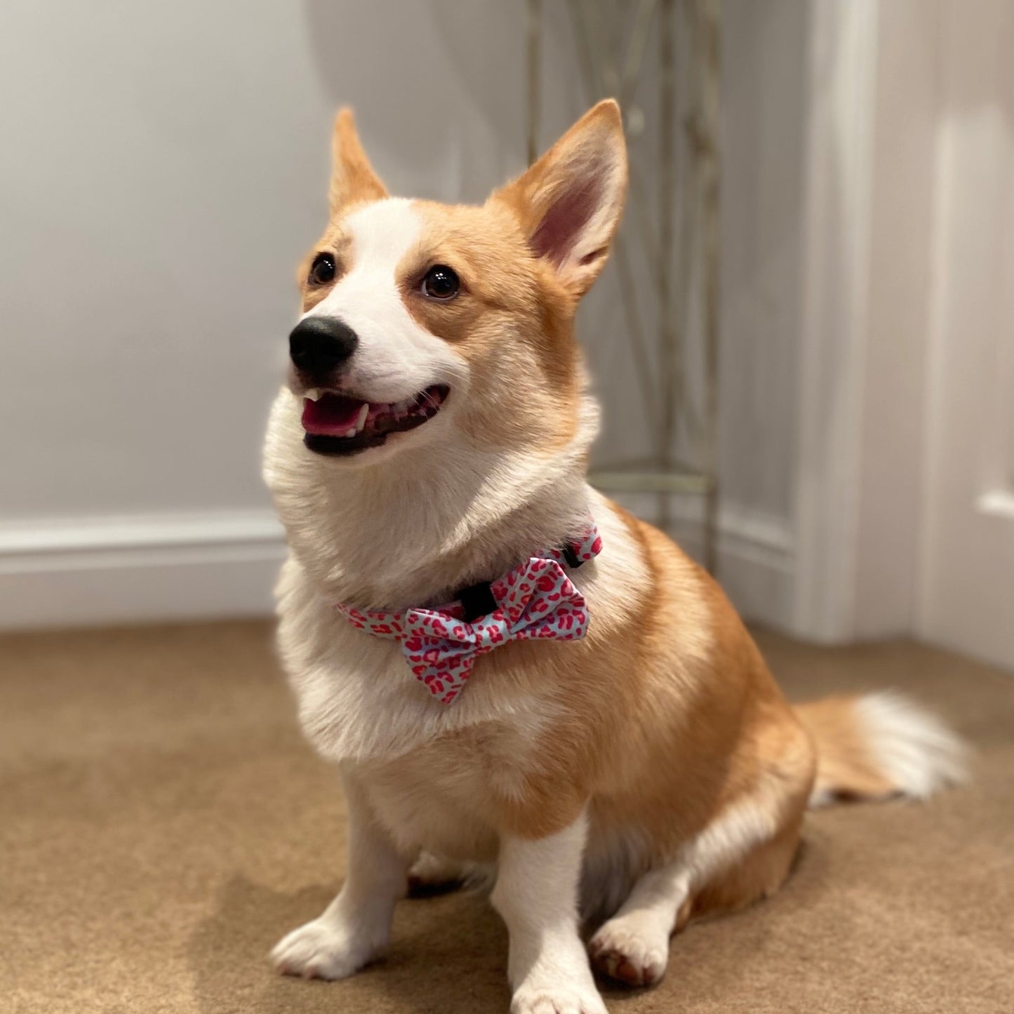 Tilly Leopard Bow Tie
