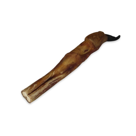 Bull Pizzle 24cm
