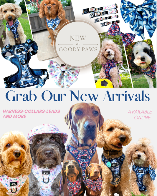 The Best Patterned Dog Harnesses UK 2026 — From Footie Paws to Floral