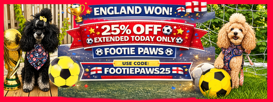 England Are Through! Celebrate with 25% Off Footie Paws 🏴󠁧󠁢󠁥󠁮󠁧󠁿⚽