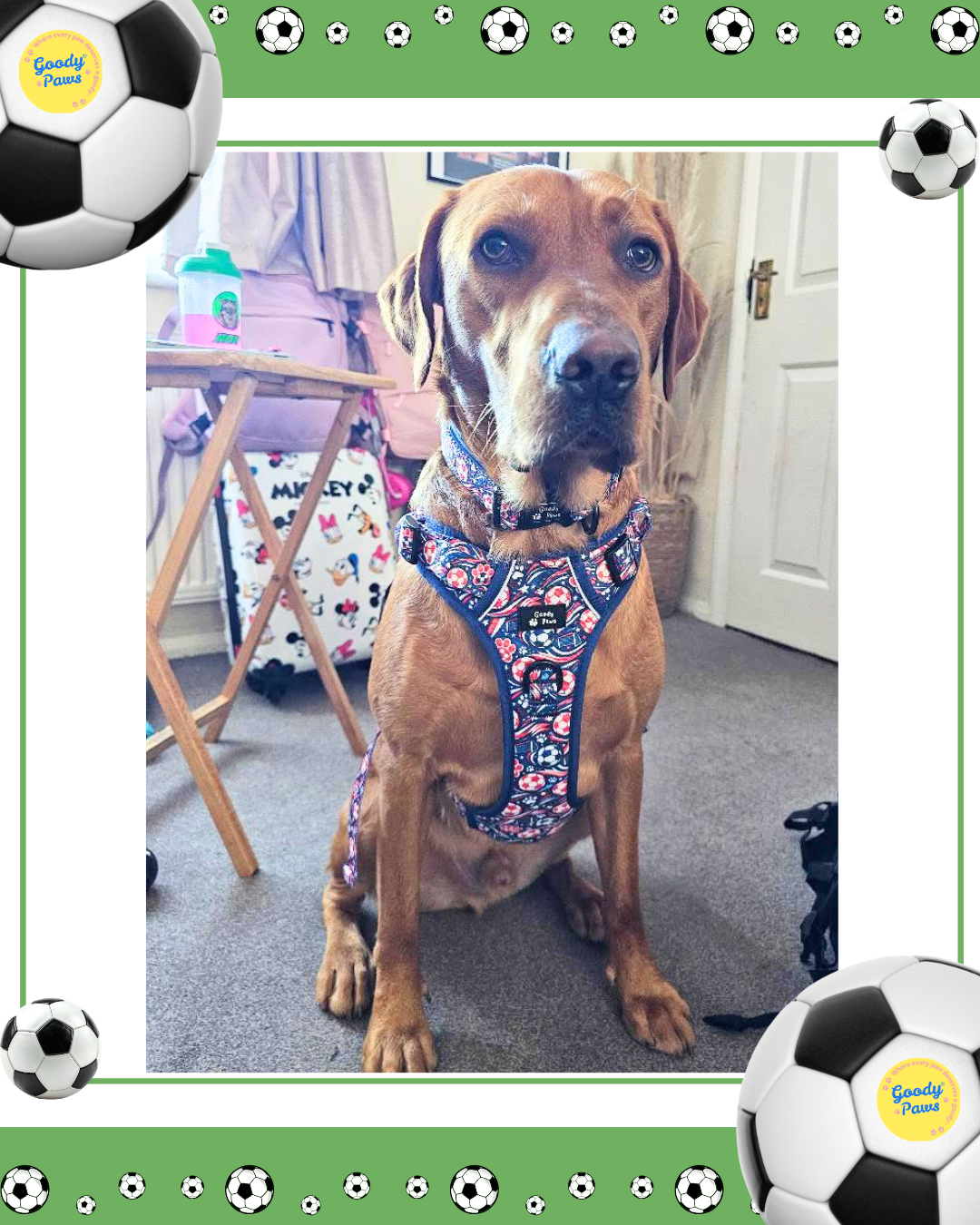 Footie Paws Tough Harness