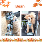 Adjustable Harness - Petal Paws Autumn Sage