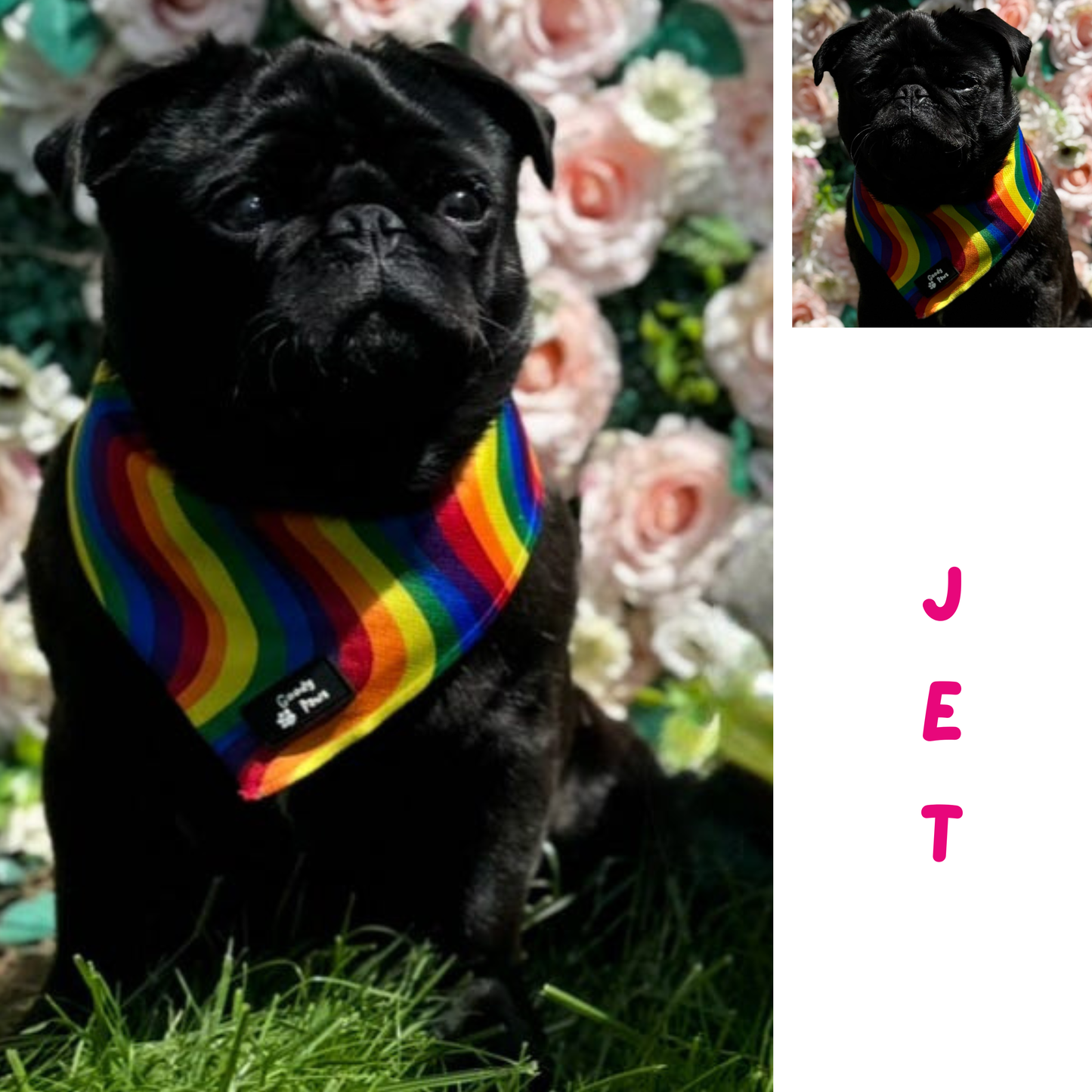 Pride Rainbow Cooling Dog Bandana | Goody Paws UK
