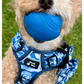 Blue Camo tough style Harness