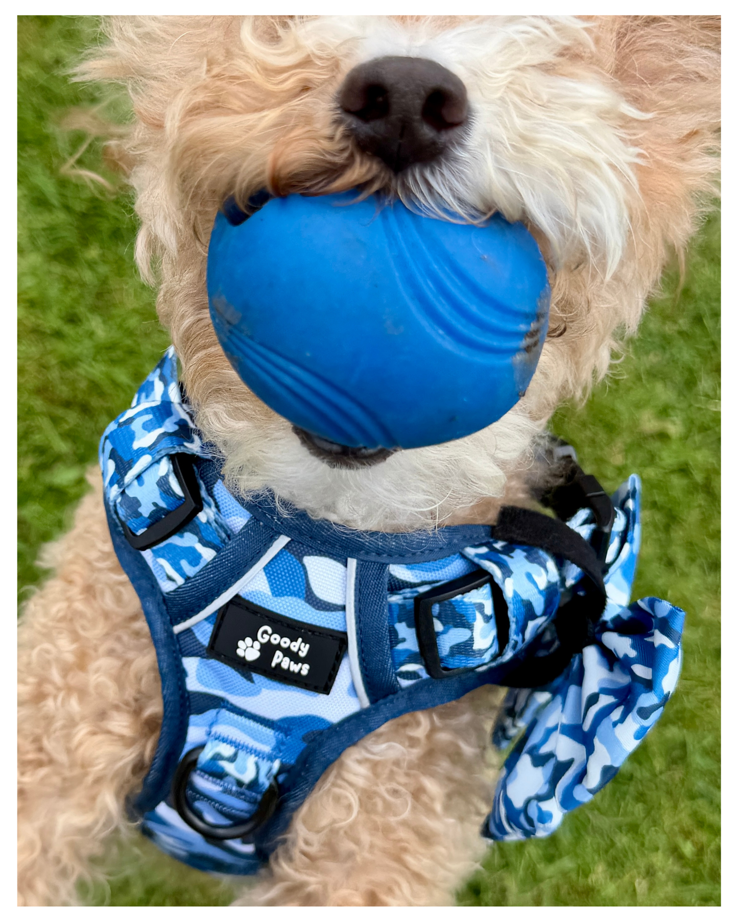 Blue Camo tough style Harness