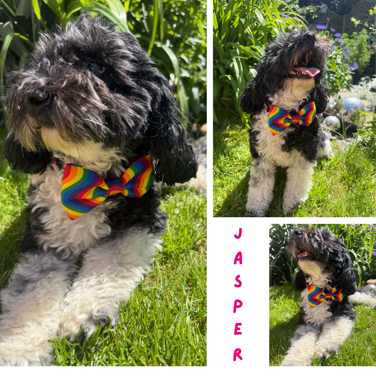 Pride Rainbow Bow Tie