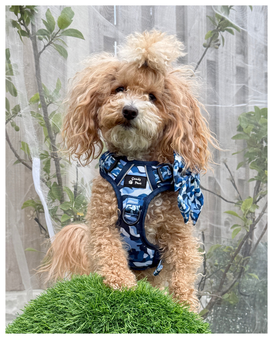 Blue Camo tough style Harness