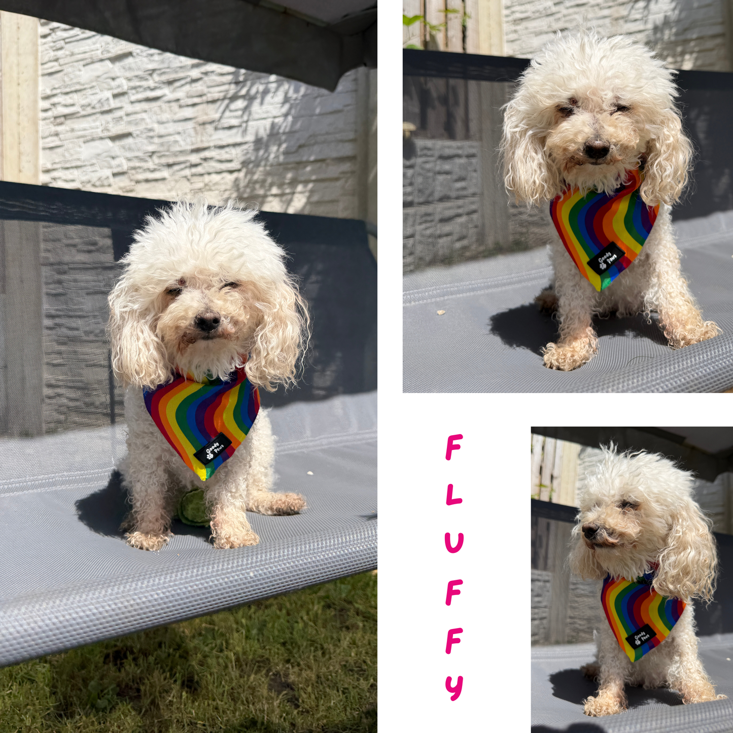 Pride Rainbow Cooling Dog Bandana | Goody Paws UK