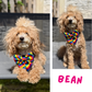 🏳️‍🌈 Pride rainbow Sailor Bow