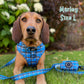 Henry Bow Tie
