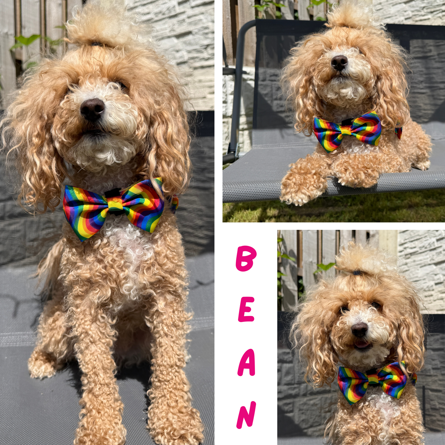 Pride Rainbow Bow Tie