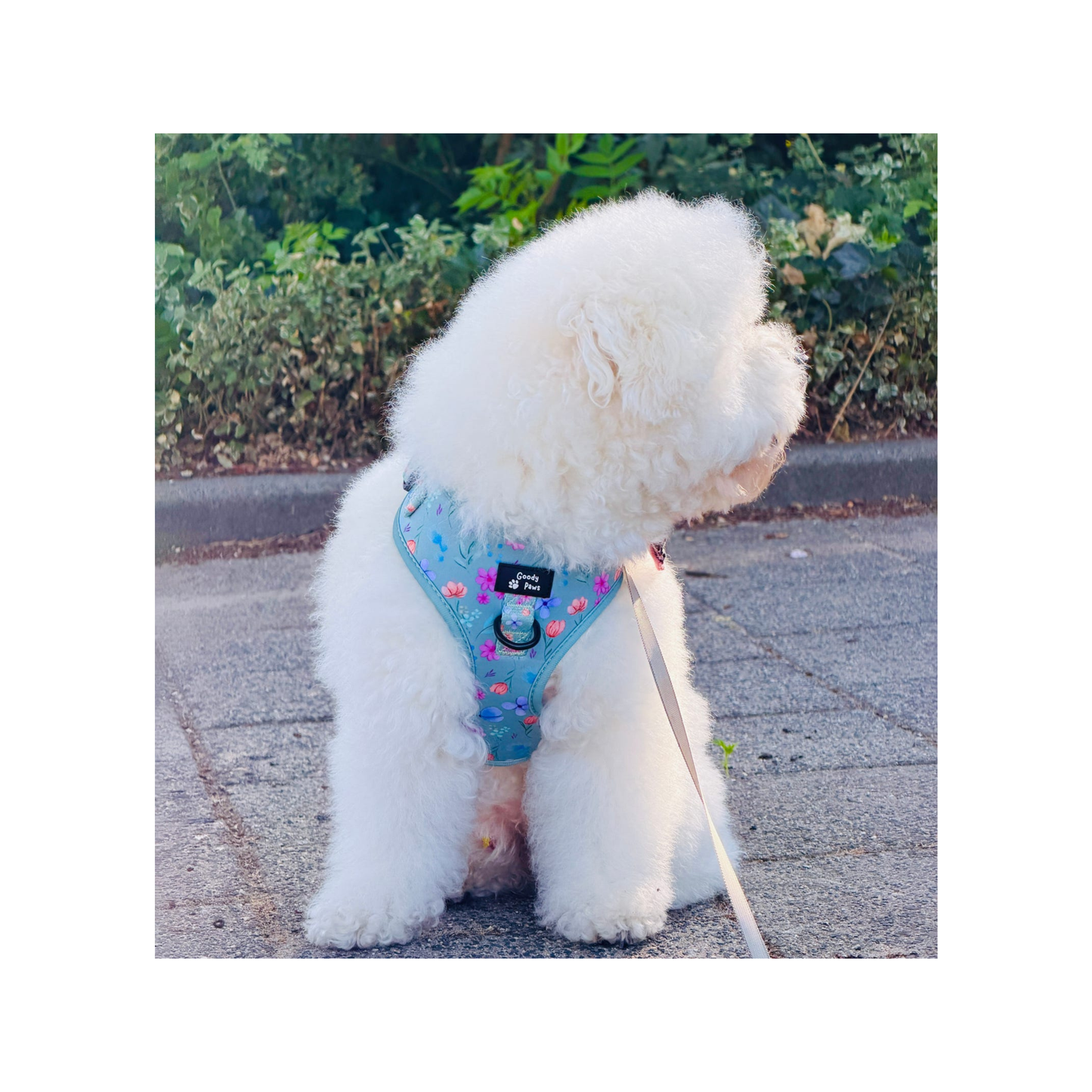 Adjustable Harness - Petal Paws Autumn Sage