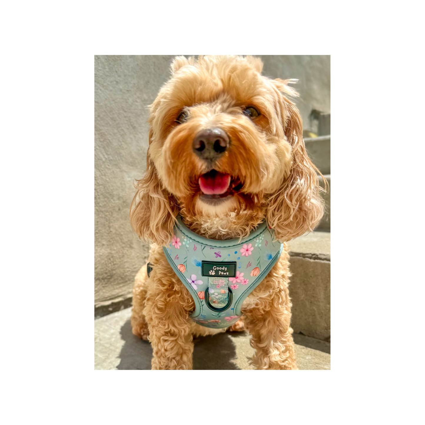 Adjustable Harness - Petal Paws Autumn Sage