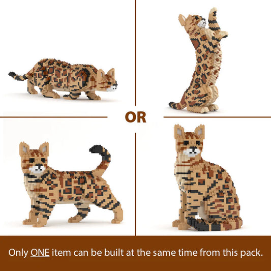 Bengal Cat 4-in-1 Pack