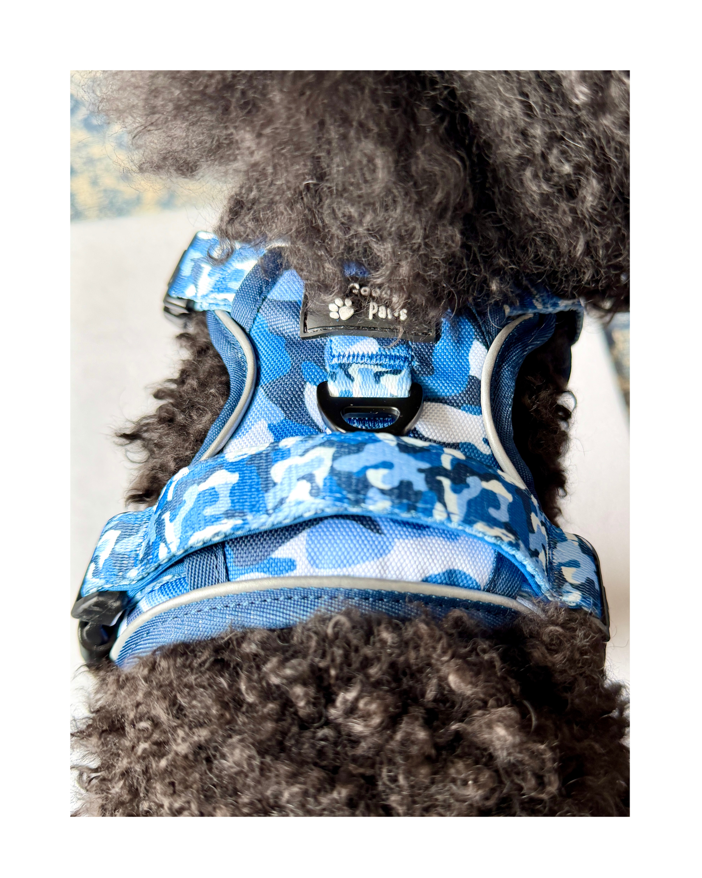 Blue Camo tough style Harness