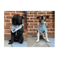 Bandana - Petal Paws Autumn Sage