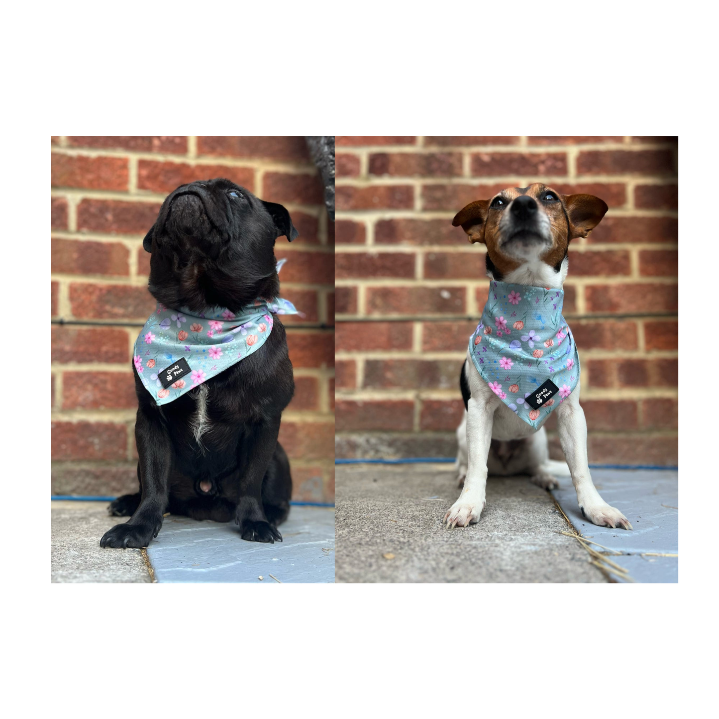 Bandana - Petal Paws Autumn Sage