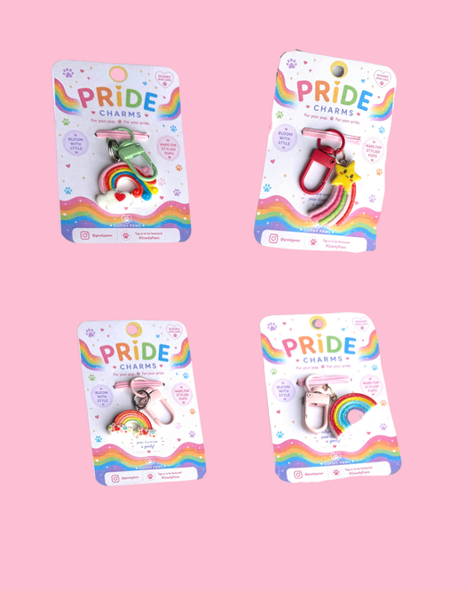 🌈 PRIDE CHARMS