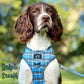 Henry Adjustable Harness