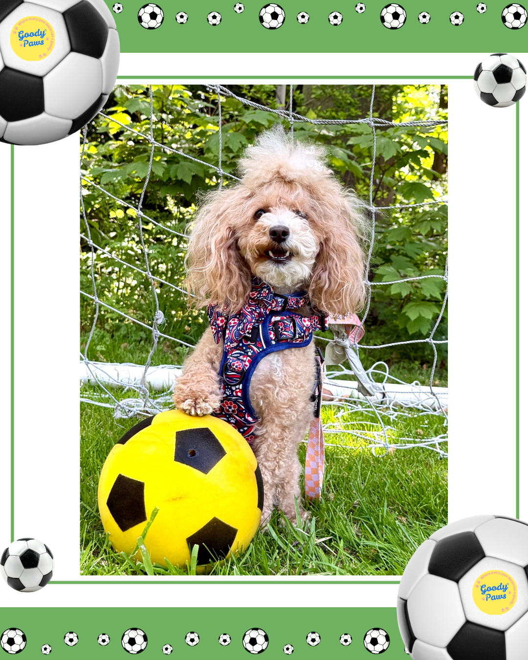 Footie Paws Tough Harness