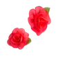 Removable Dog Flower Bows for collars – Elastic Band Fit